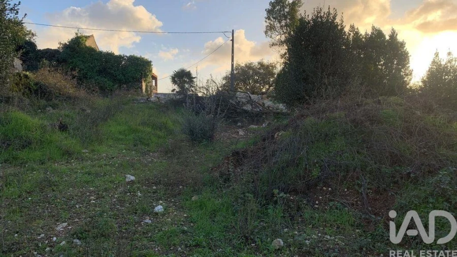 Terreno para Venda em Pombal Foto 21