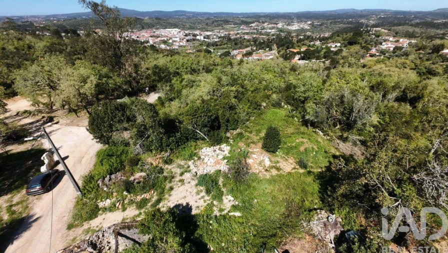 Terreno para Venda em Pombal Foto 13