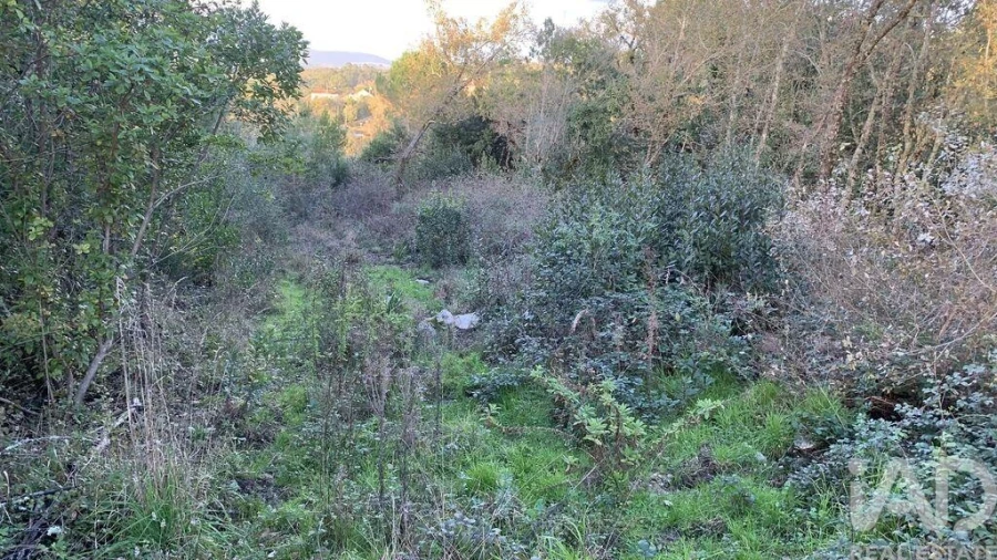 Terreno para Venda em Pombal Foto 14