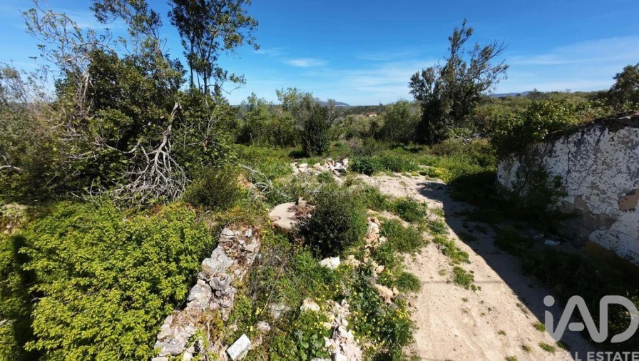 Terreno para Venda em Pombal Foto 5