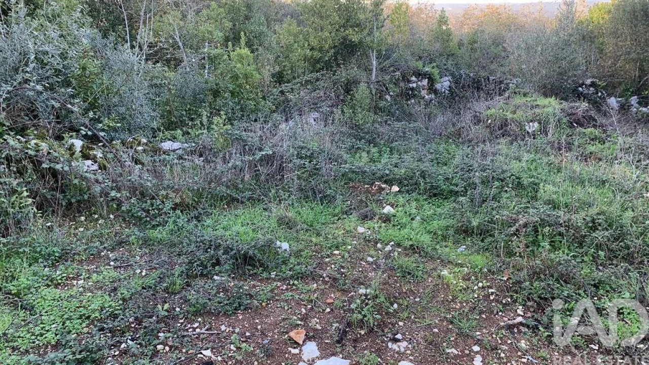 Terreno para Venda em Pombal Foto 20