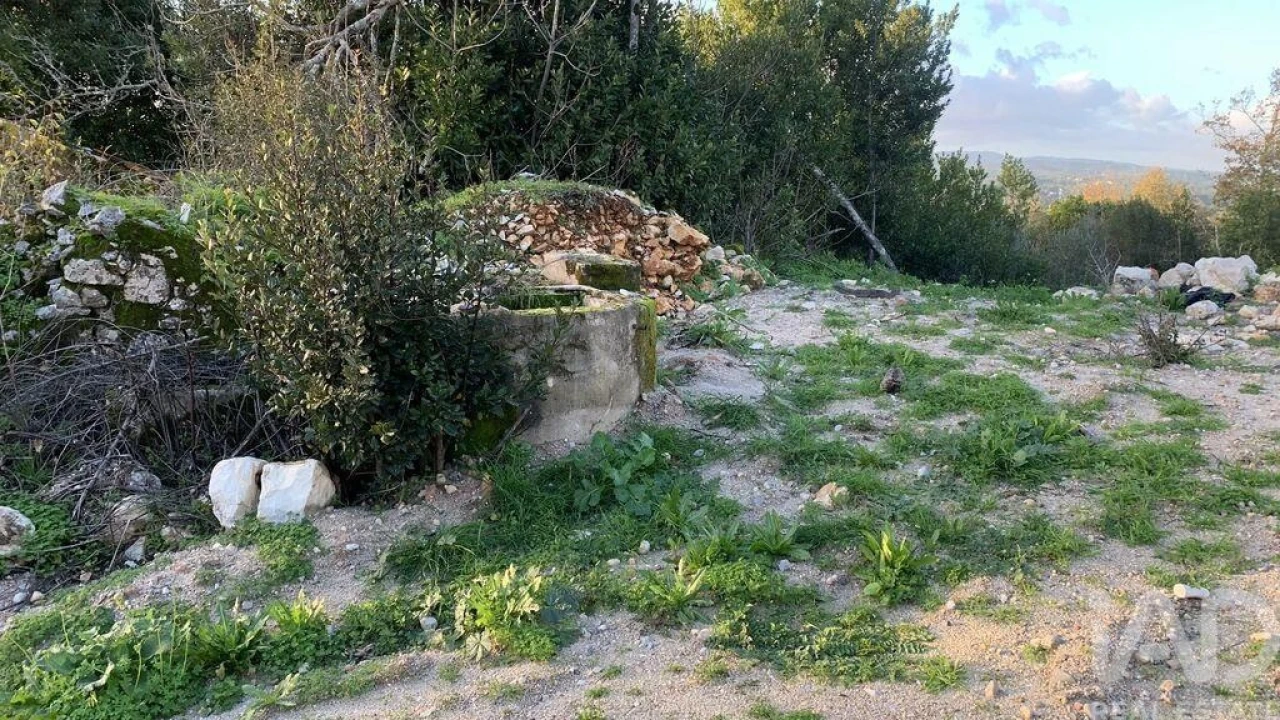 Terreno para Venda em Pombal Foto 4