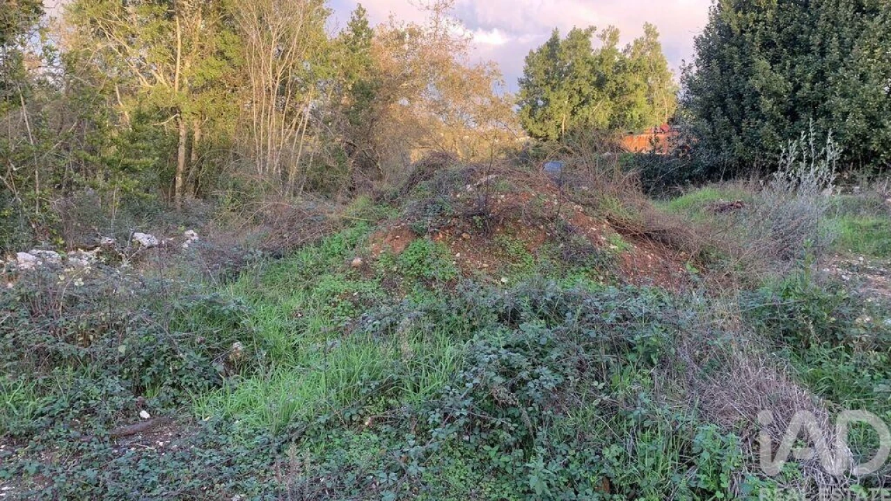 Terreno para Venda em Pombal Foto 26
