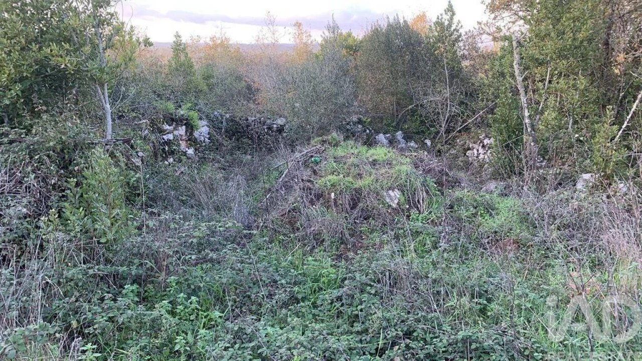 Terreno para Venda em Pombal Foto 27