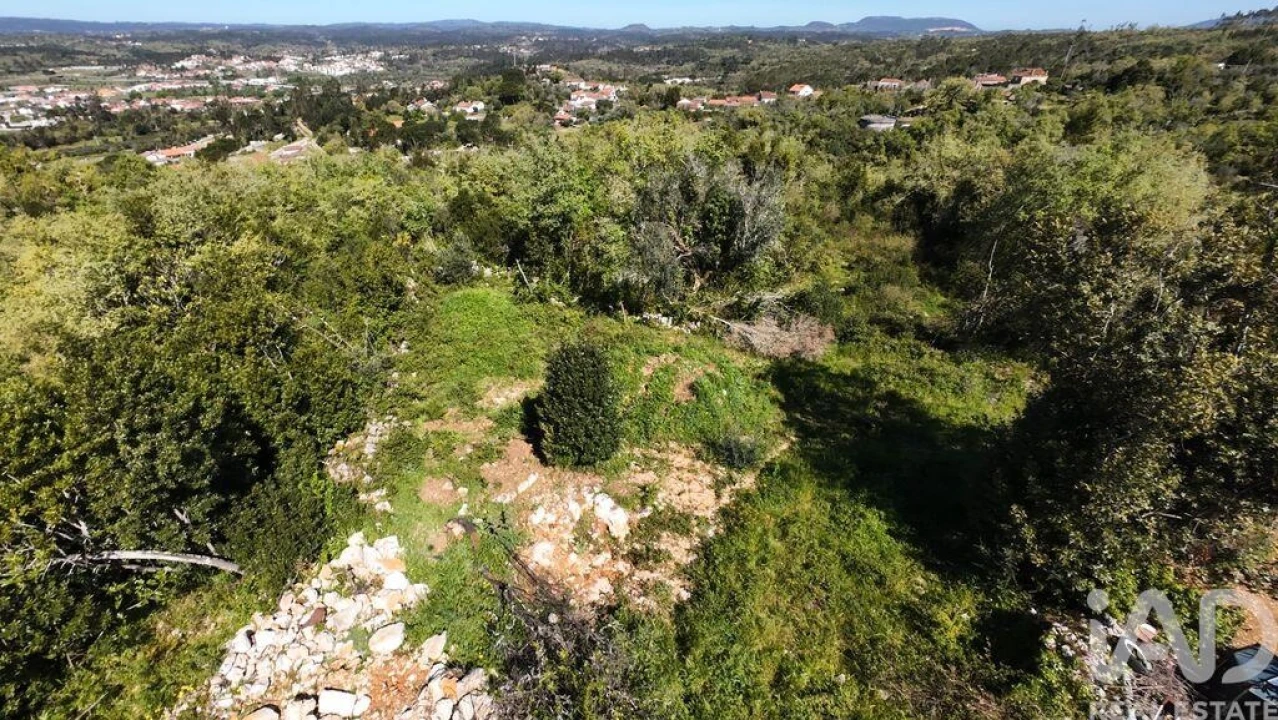 Terreno para Venda em Pombal Foto 8