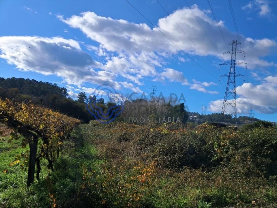 Terreno para Venda em Vandoma Foto 7