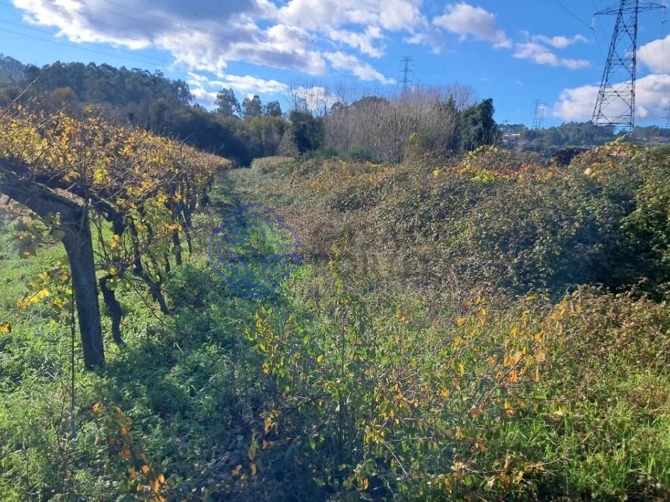Terreno para Venda em Vandoma Foto 6
