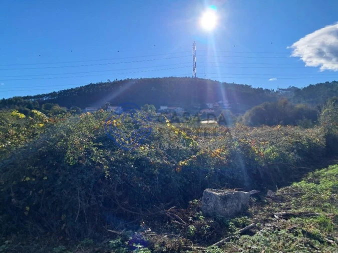 Terreno para Venda em Vandoma Foto 4