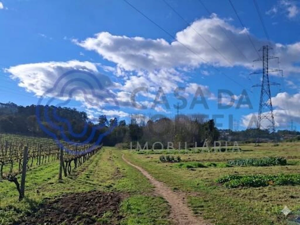 Terreno para Venda em Vandoma Foto 11