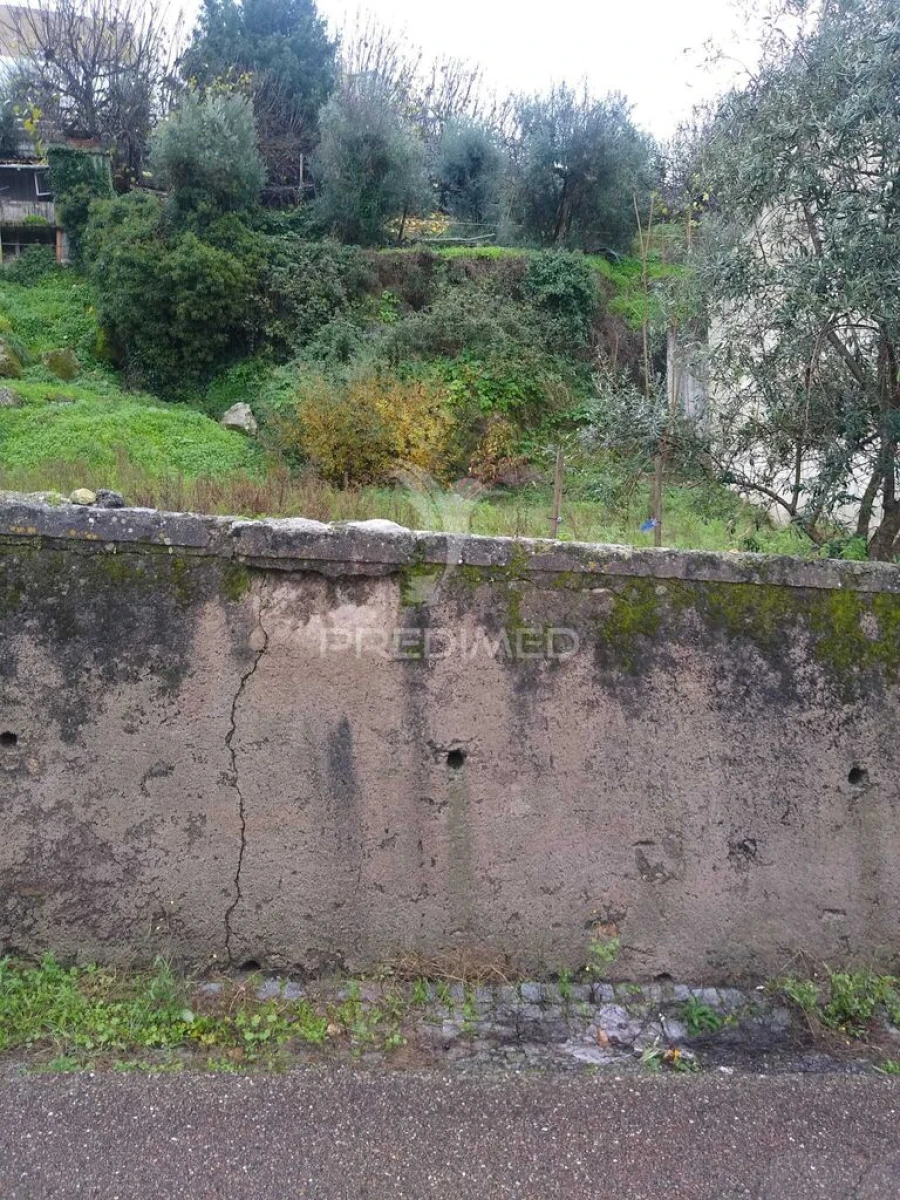 Terreno para Venda em Ribeira de Nisa e Carreiras Foto 3