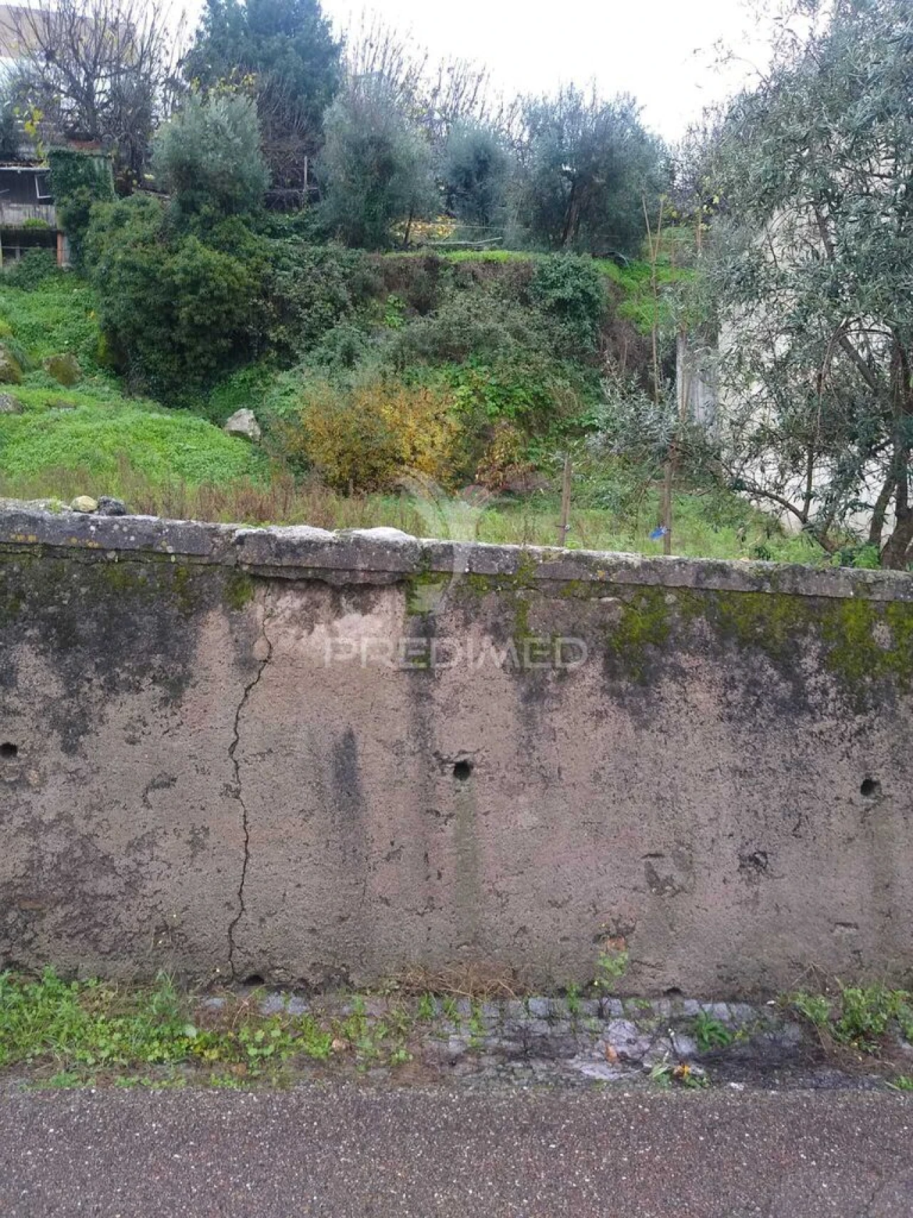 Terreno para Venda em Ribeira de Nisa e Carreiras Foto 3