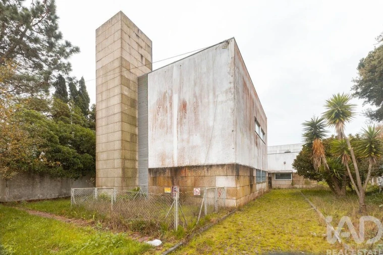 Prédio para Venda em Arvore Foto 4