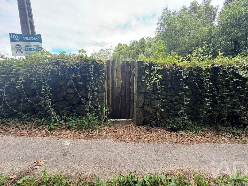 Terreno para Venda em Lagoa (Nossa Senhora do Rosario) Foto 4