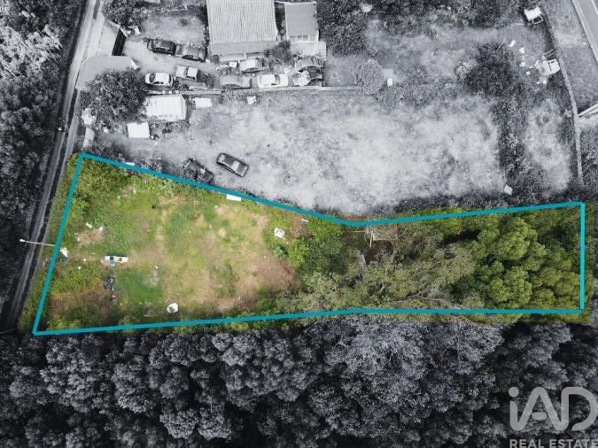 Terreno para Venda em Lagoa (Nossa Senhora do Rosario) Foto 3