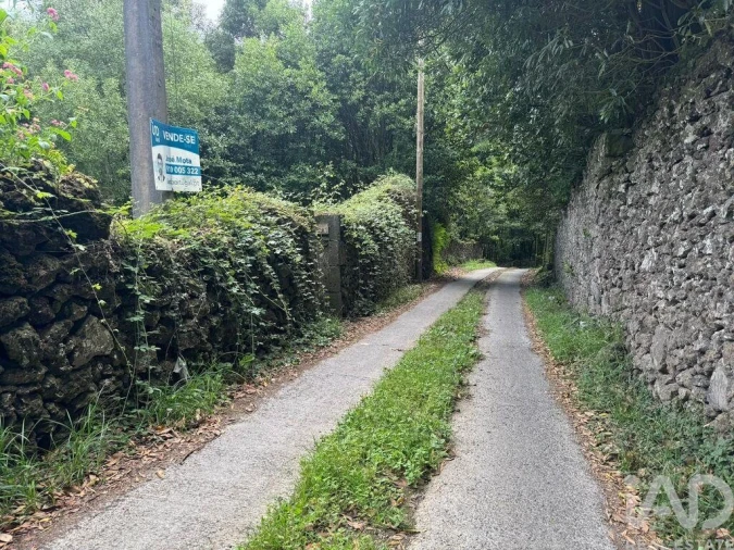 Terreno para Venda em Lagoa (Nossa Senhora do Rosario) Foto 1