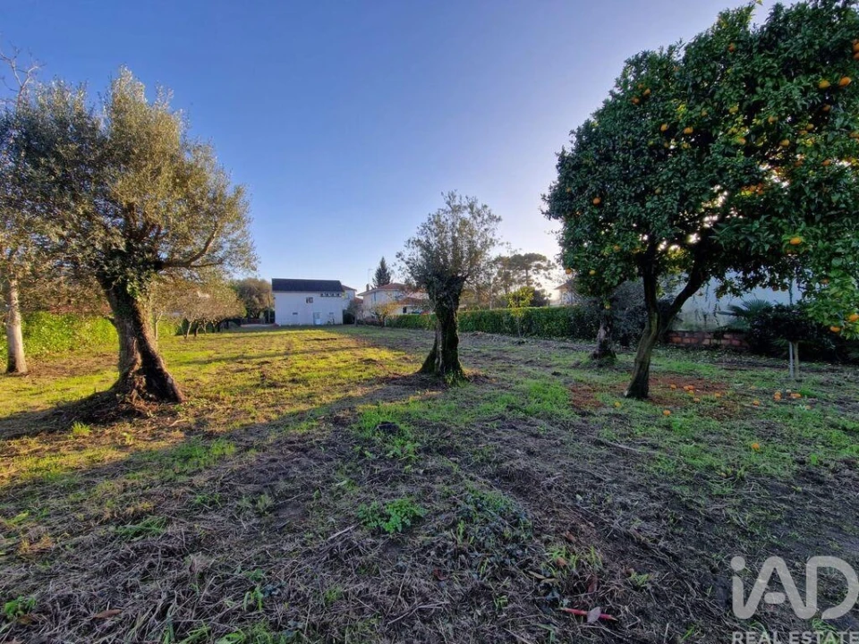 Moradia T3 para Venda em Vila Franca Foto 11