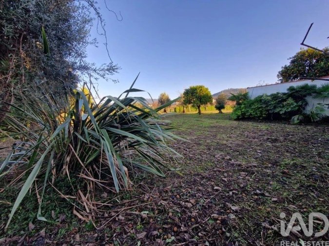 Moradia T3 para Venda em Vila Franca Foto 13