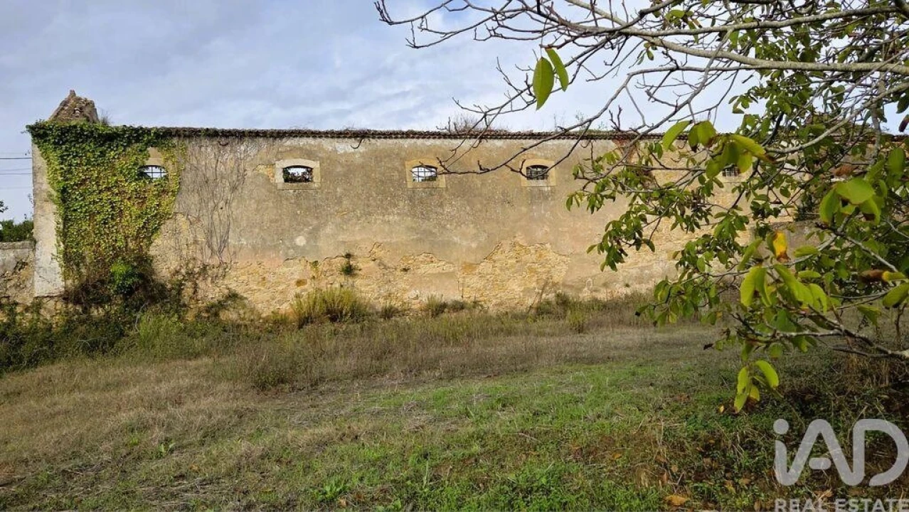 Moradia T4 para Venda em Ribafria e Pereiro de Palhacana Foto 9