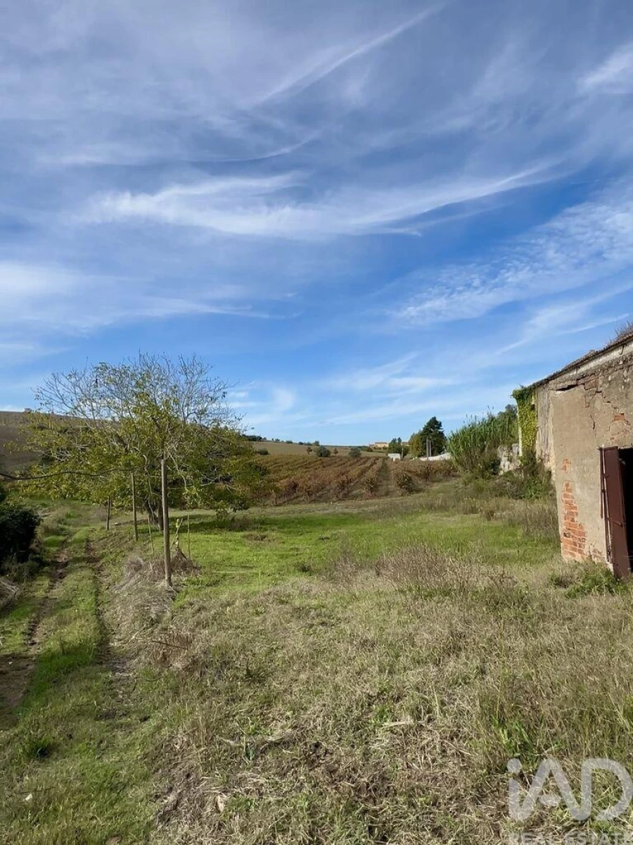 Moradia T4 para Venda em Ribafria e Pereiro de Palhacana Foto 5