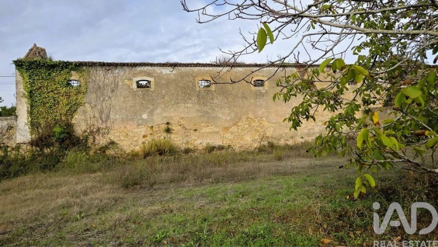 Moradia T4 para Venda em Ribafria e Pereiro de Palhacana Foto 9