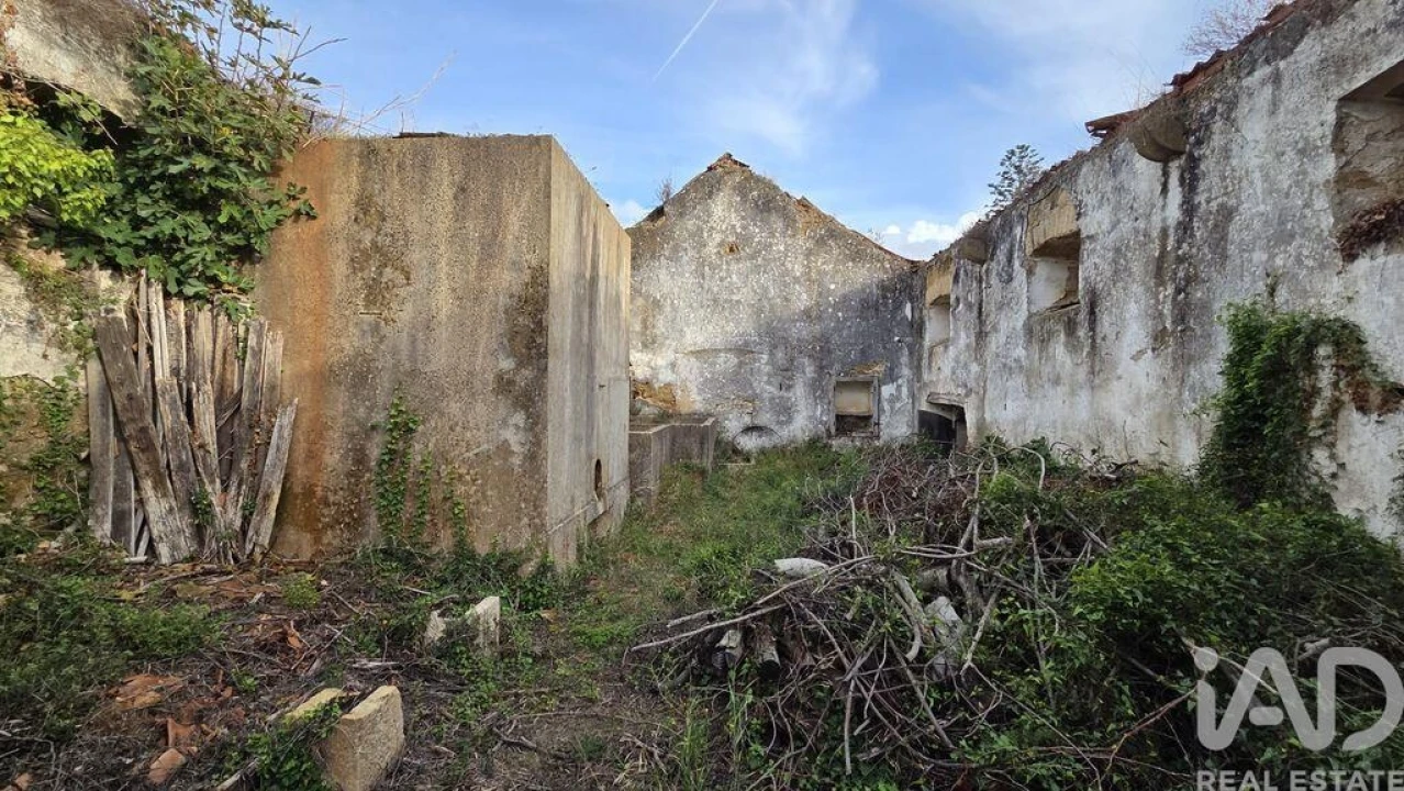 Moradia T4 para Venda em Ribafria e Pereiro de Palhacana Foto 3