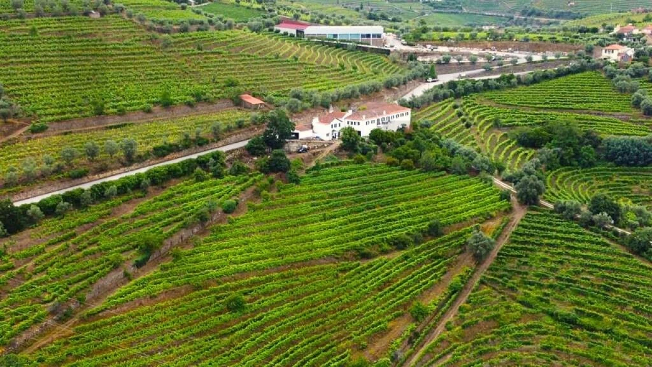 Quinta T6 para Venda em Cambres Foto 9