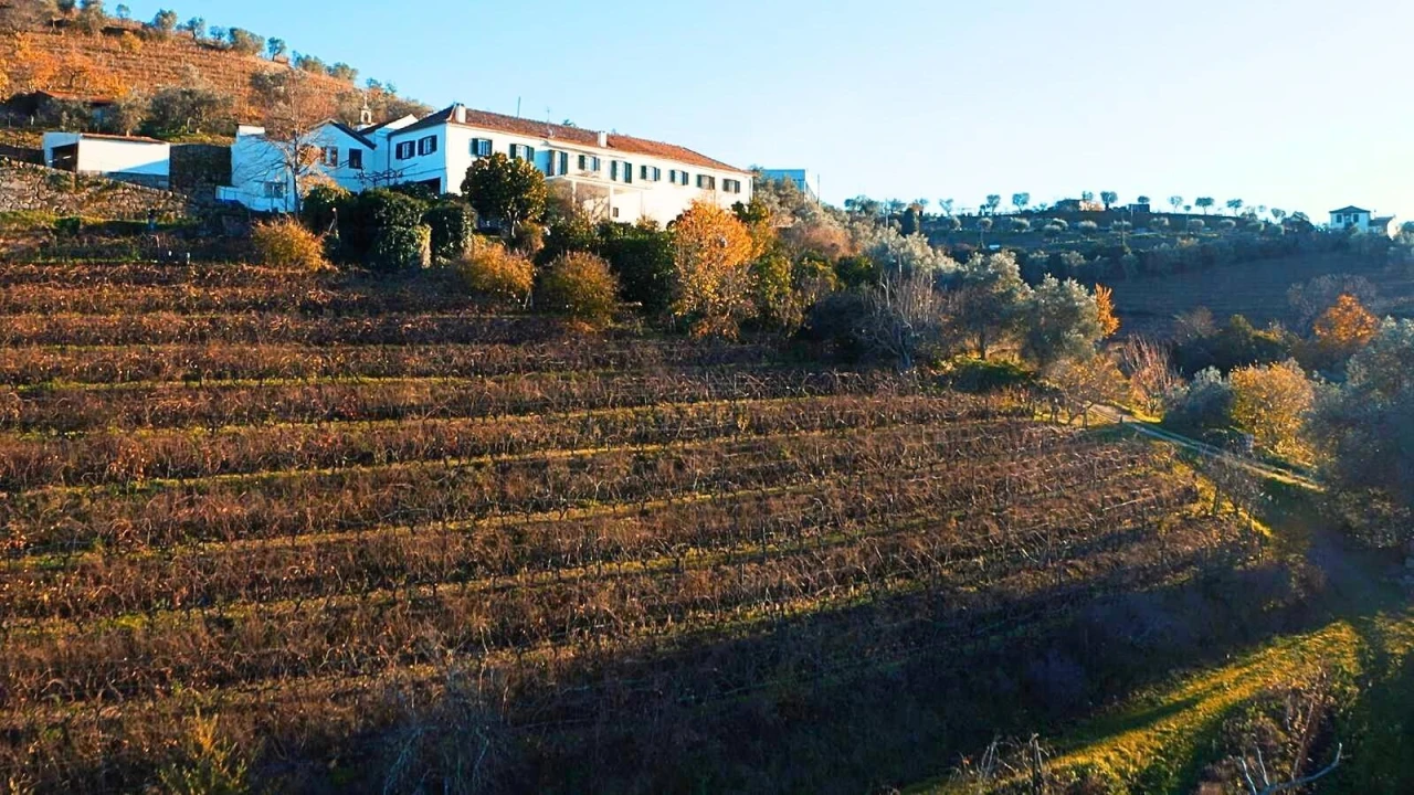 Quinta T6 para Venda em Cambres Foto 31