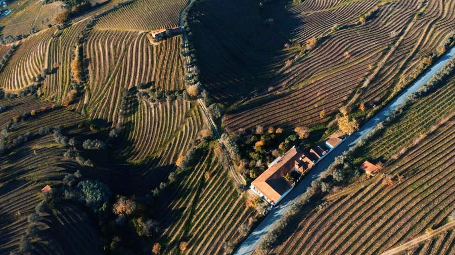 Quinta T6 para Venda em Cambres Foto 26