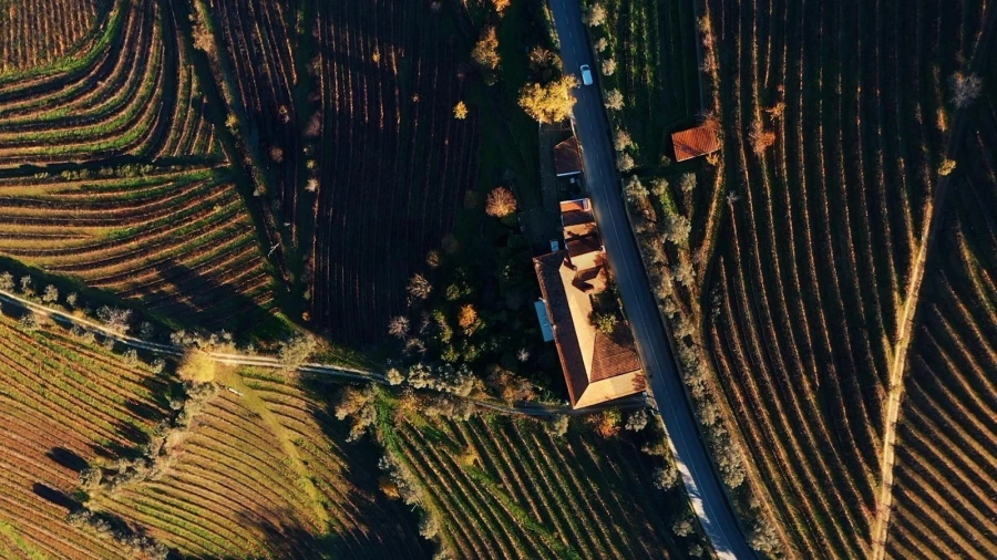 Quinta T6 para Venda em Cambres Foto 4