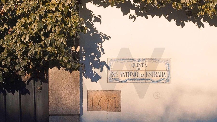 Quinta T6 para Venda em Cambres Foto 5