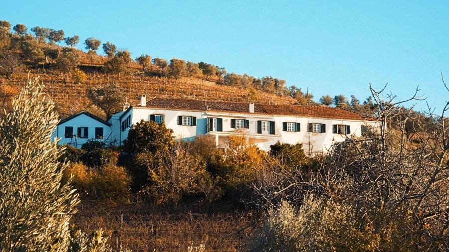 Quinta T6 para Venda em Cambres Foto 28