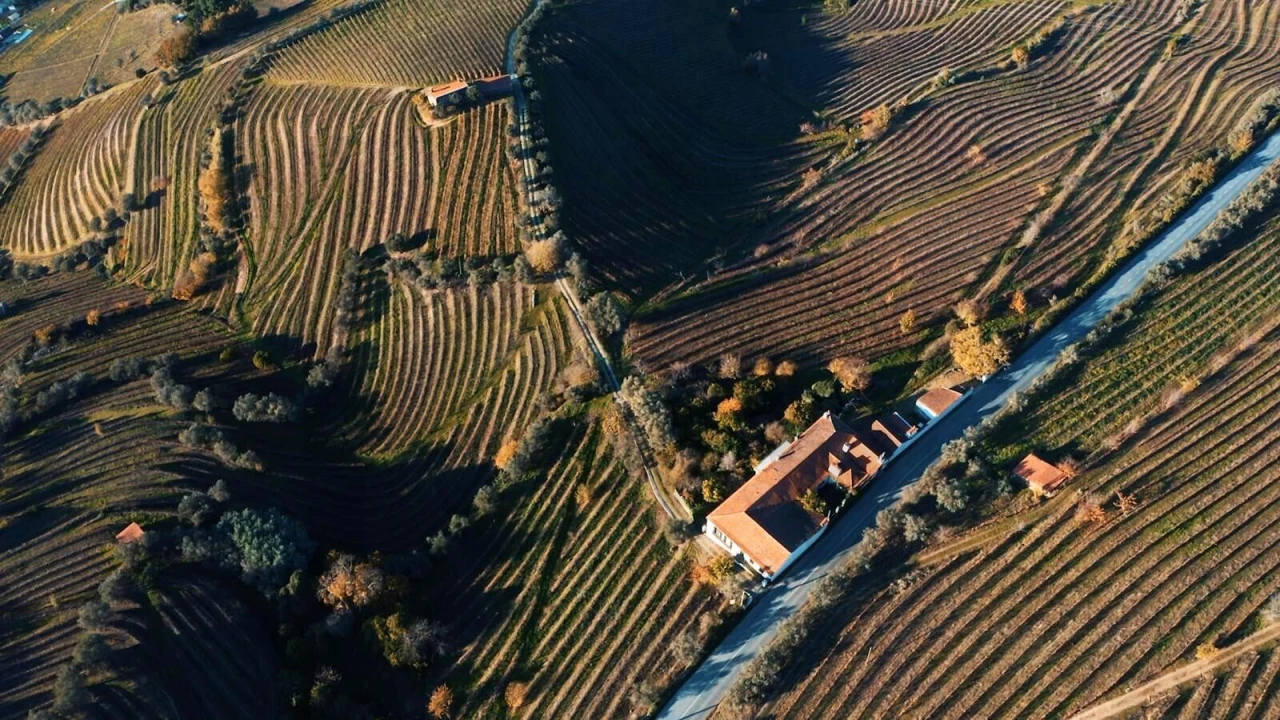 Quinta T6 para Venda em Cambres Foto 26