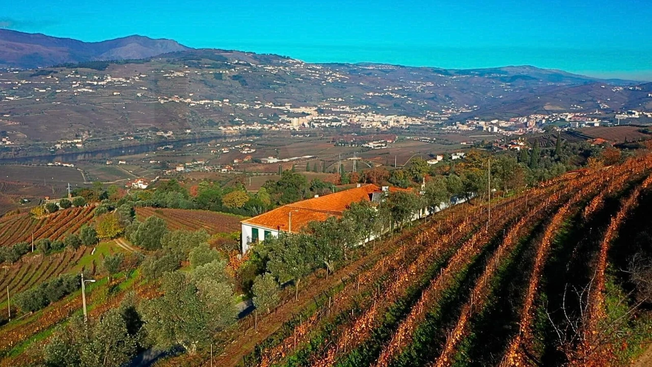 Quinta T6 para Venda em Cambres Foto 27