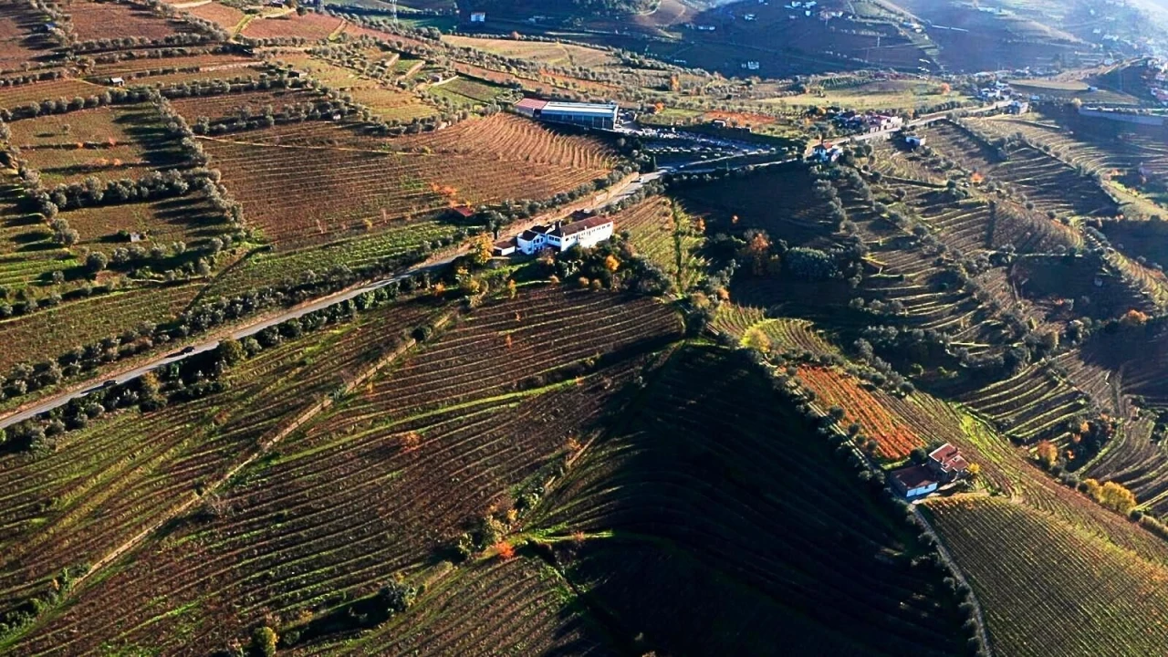 Quinta T6 para Venda em Cambres Foto 25