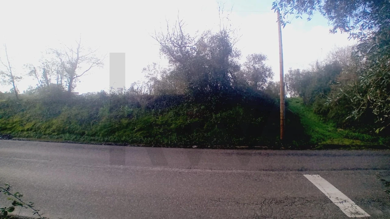 Terreno para Venda em Soure Foto 8