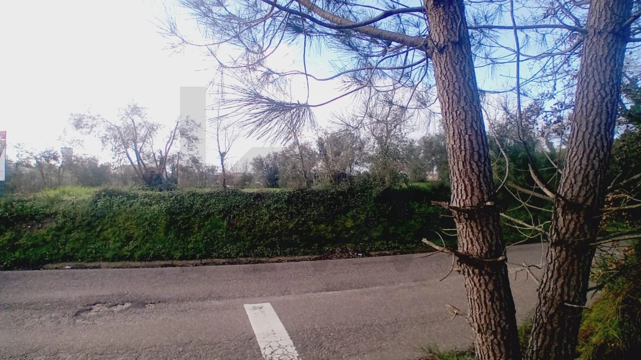 Terreno para Venda em Soure Foto 9