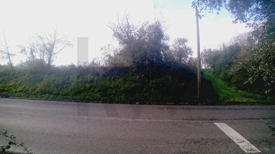 Terreno para Venda em Soure Foto 8