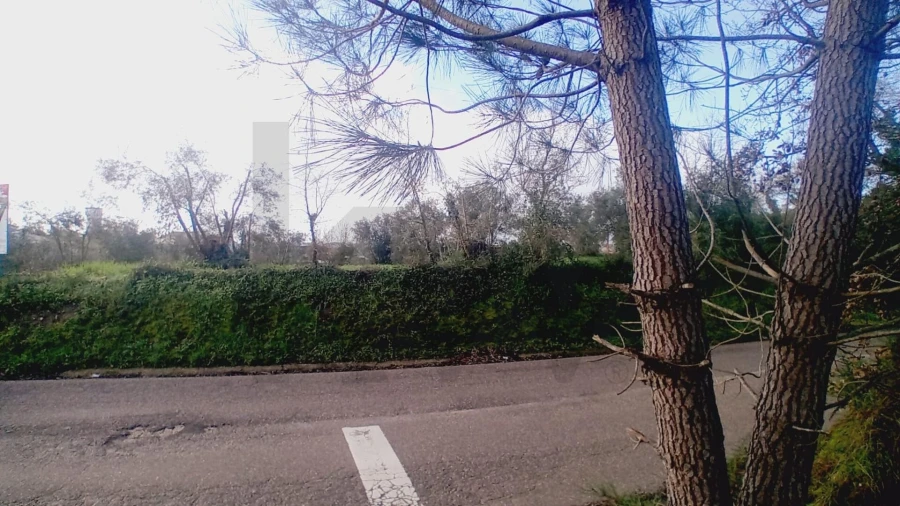 Terreno para Venda em Soure Foto 9