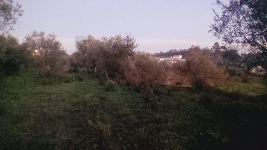 Terreno para Venda em Soure Foto 4