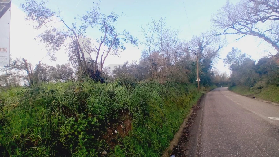 Terreno para Venda em Soure Foto 10