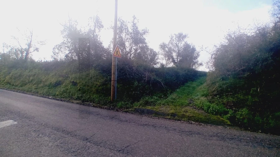 Terreno para Venda em Soure Foto 13