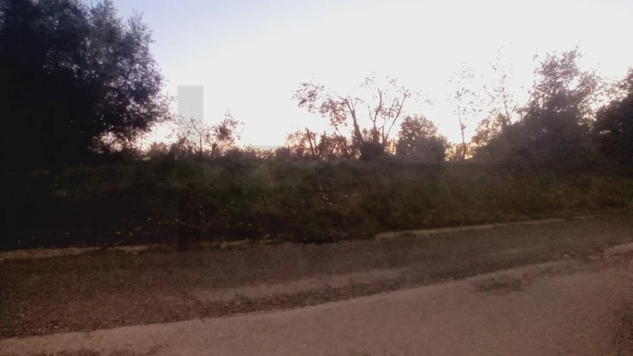 Terreno para Venda em Soure Foto 3