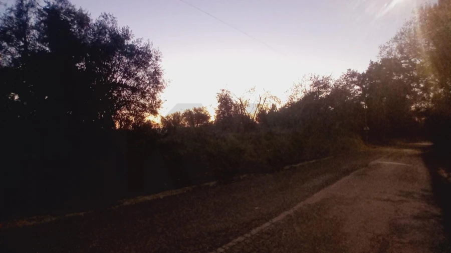 Terreno para Venda em Soure Foto 6