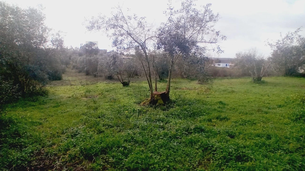 Terreno para Venda em Soure Foto 12