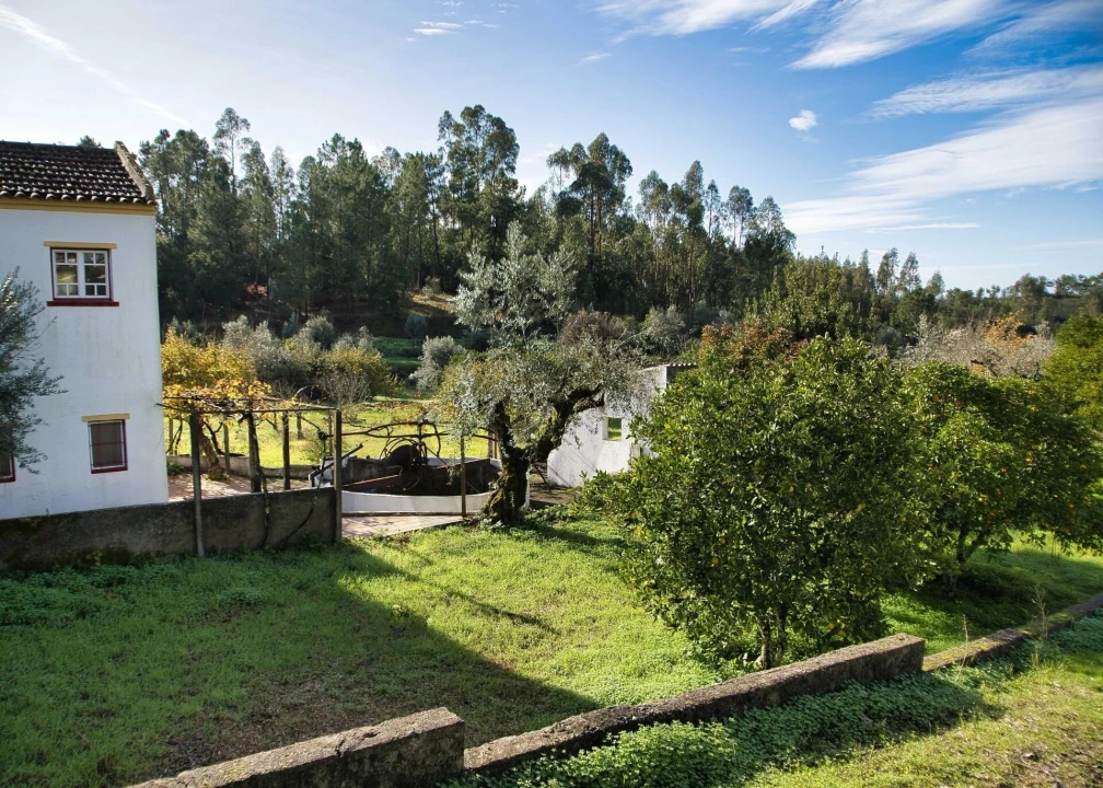 Moradia T5 para Venda em Mouriscas Foto 42