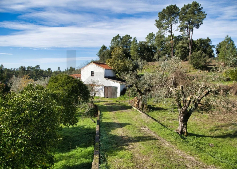 Moradia T5 para Venda em Mouriscas Foto 43