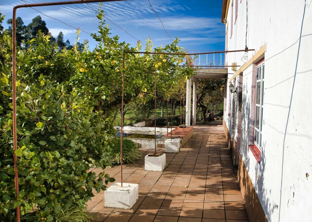 Moradia T5 para Venda em Mouriscas Foto 26