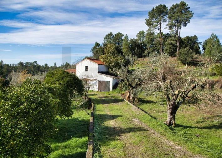 Moradia T5 para Venda em Mouriscas Foto 43