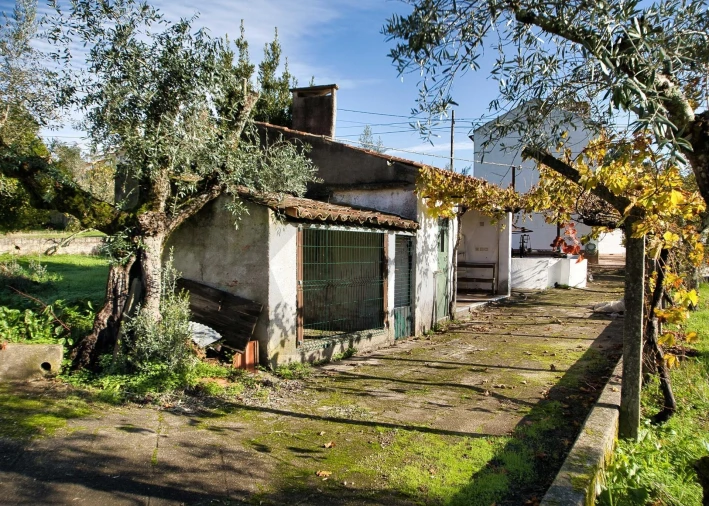 Moradia T5 para Venda em Mouriscas Foto 31