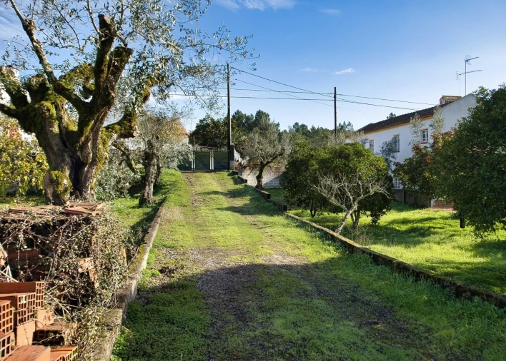 Moradia T5 para Venda em Mouriscas Foto 41